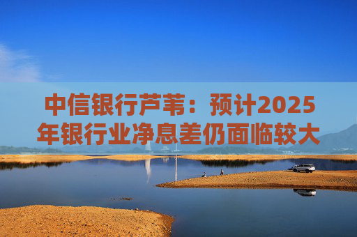 中信银行芦苇：预计2025年银行业净息差仍面临较大下降压力