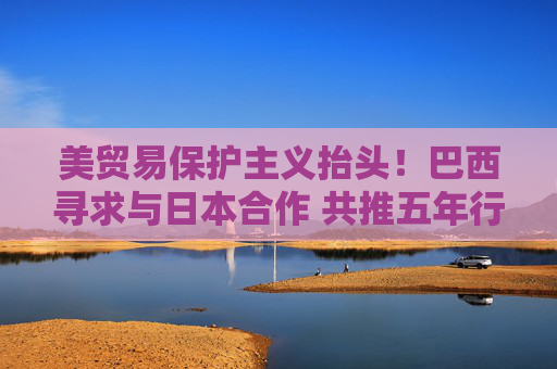 美贸易保护主义抬头！巴西寻求与日本合作 共推五年行动计划