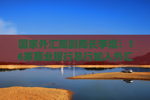 国家外汇局副局长李斌：16家商业银行总行加入外汇展业改革 今年还会进一步扩大覆盖面