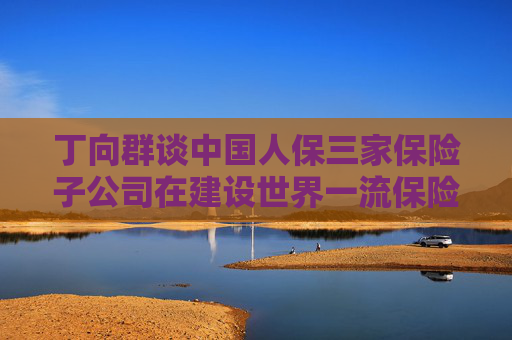 丁向群谈中国人保三家保险子公司在建设世界一流保险金融集团目标下的发展定位