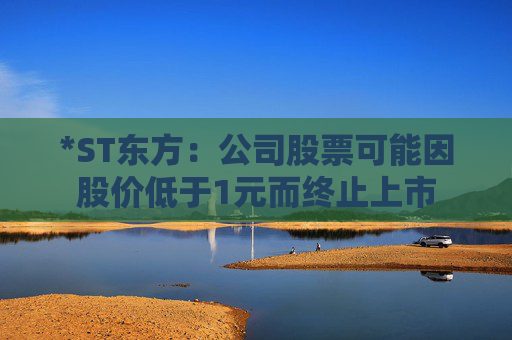 *ST东方：公司股票可能因股价低于1元而终止上市