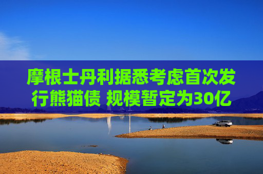 摩根士丹利据悉考虑首次发行熊猫债 规模暂定为30亿元人民币
