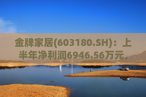 金牌家居(603180.SH)：上半年净利润6946.56万元，同比下降9.14%