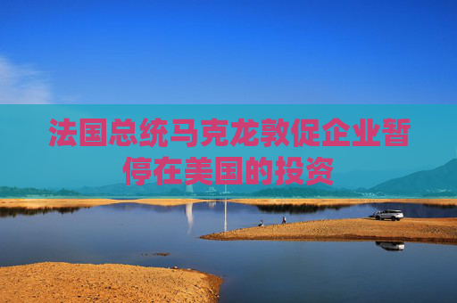 法国总统马克龙敦促企业暂停在美国的投资