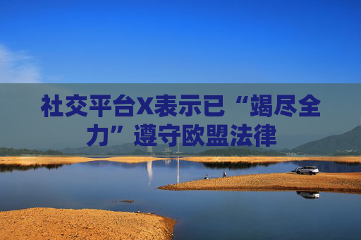 社交平台X表示已“竭尽全力”遵守欧盟法律