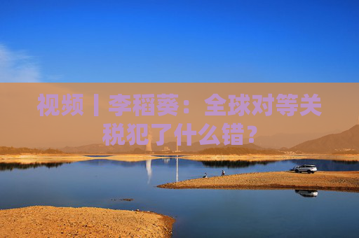 视频丨李稻葵：全球对等关税犯了什么错？
