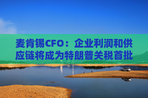 麦肯锡CFO：企业利润和供应链将成为特朗普关税首批牺牲品