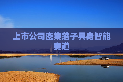 上市公司密集落子具身智能赛道