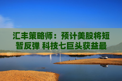 汇丰策略师：预计美股将短暂反弹 科技七巨头获益最多