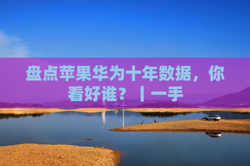 盘点苹果华为十年数据，你看好谁？丨一手