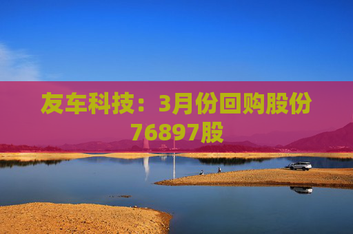 友车科技：3月份回购股份76897股