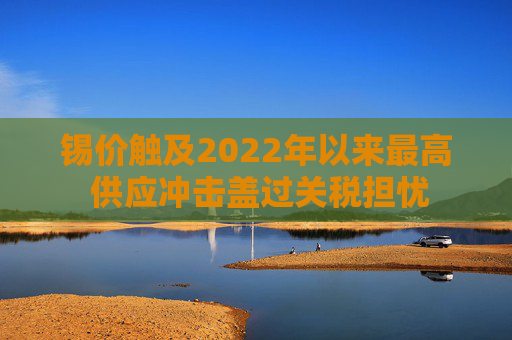 锡价触及2022年以来最高 供应冲击盖过关税担忧