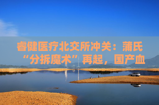 睿健医疗北交所冲关：蒲氏“分拆魔术”再起，国产血透器械能否“透”见未来？