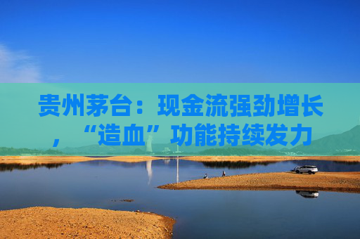 贵州茅台：现金流强劲增长，“造血”功能持续发力