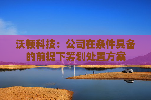 沃顿科技：公司在条件具备的前提下筹划处置方案