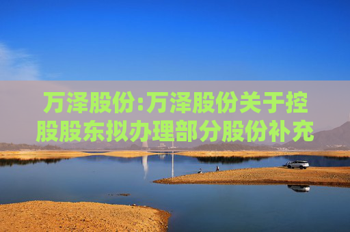 万泽股份:万泽股份关于控股股东拟办理部分股份补充担保及信托登记的提示性公告