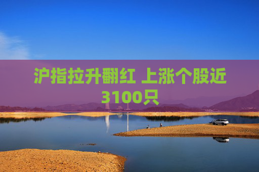 沪指拉升翻红 上涨个股近3100只