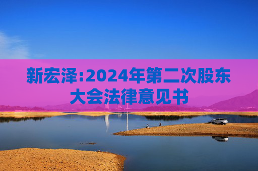 新宏泽:2024年第二次股东大会法律意见书