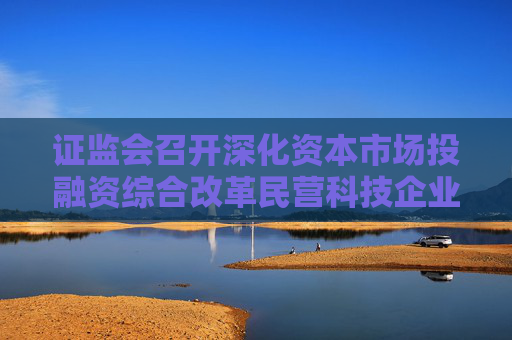 证监会召开深化资本市场投融资综合改革民营科技企业座谈会