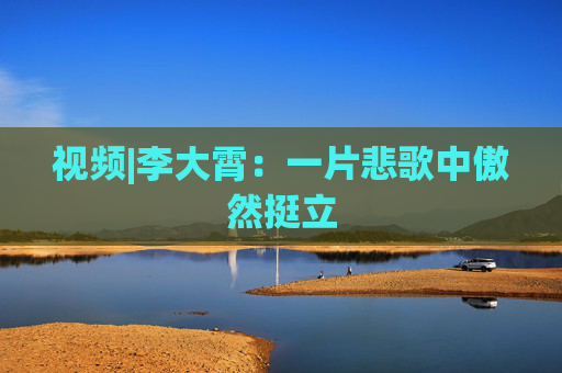 视频|李大霄：一片悲歌中傲然挺立
