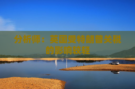 分析师：英国受特朗普关税的影响较轻