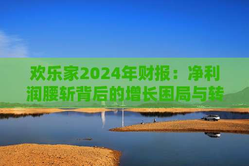 欢乐家2024年财报：净利润腰斩背后的增长困局与转型挑战