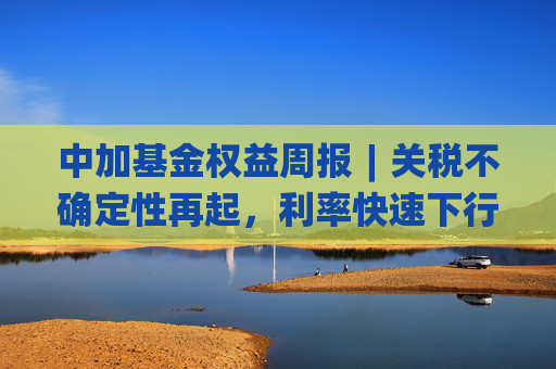 中加基金权益周报︱关税不确定性再起，利率快速下行