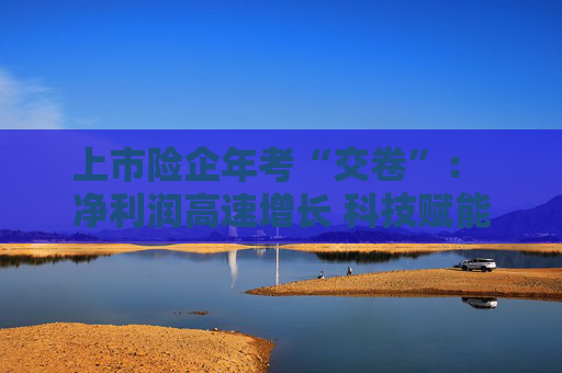 上市险企年考“交卷”： 净利润高速增长 科技赋能加速落地