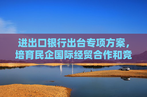 进出口银行出台专项方案，培育民企国际经贸合作和竞争新优势