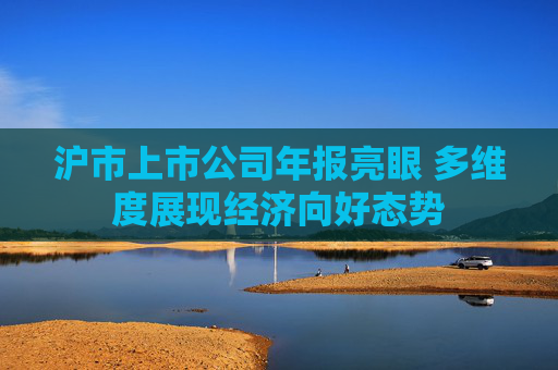 沪市上市公司年报亮眼 多维度展现经济向好态势