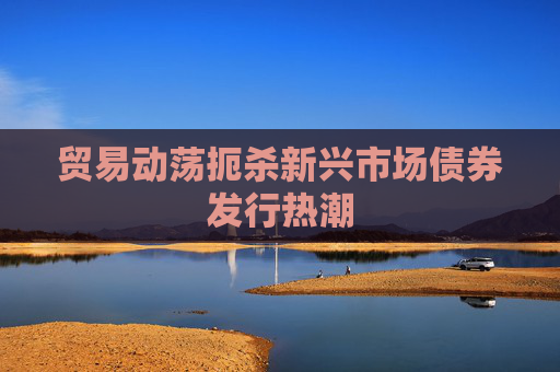 贸易动荡扼杀新兴市场债券发行热潮