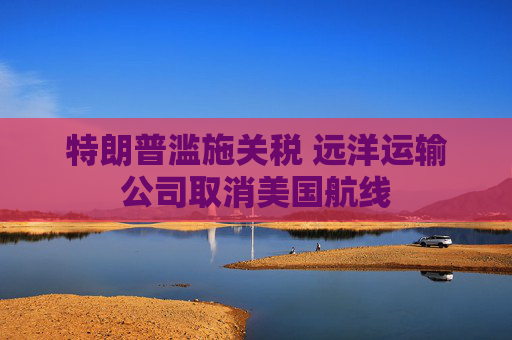 特朗普滥施关税 远洋运输公司取消美国航线