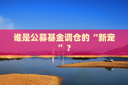 谁是公募基金调仓的“新宠”？