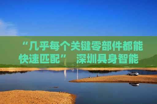“几乎每个关键零部件都能快速匹配”  深圳具身智能生态先行一步