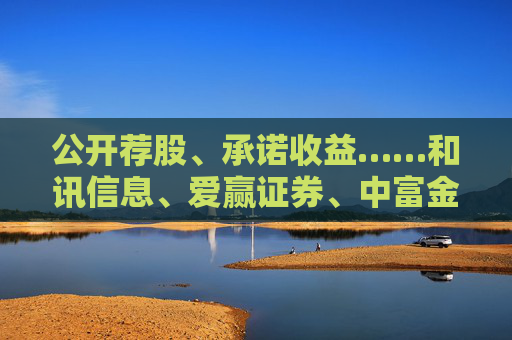 公开荐股、承诺收益……和讯信息、爱赢证券、中富金石等多家第三方投顾被罚
