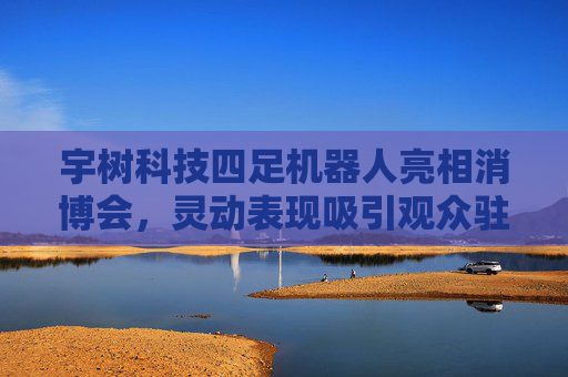 宇树科技四足机器人亮相消博会，灵动表现吸引观众驻足互动