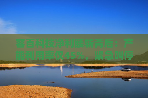 容百科技净利腰斩背后：产能利用率仅45%，紧急叫停扩产项目