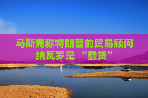 马斯克称特朗普的贸易顾问纳瓦罗是 “蠢货”