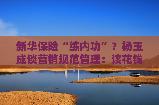 新华保险“练内功”？杨玉成谈营销规范管理：该花钱的地方一定要花 不该花钱的地方一分钱不许浪费