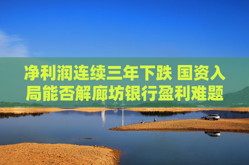 净利润连续三年下跌 国资入局能否解廊坊银行盈利难题