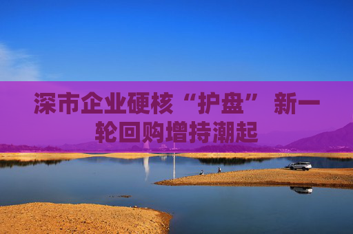 深市企业硬核“护盘” 新一轮回购增持潮起