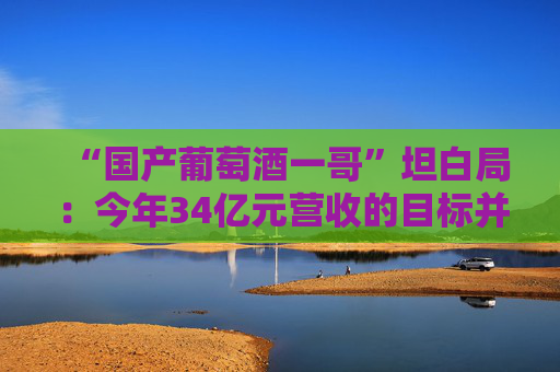 “国产葡萄酒一哥”坦白局：今年34亿元营收的目标并不保守，但利润会比较难看