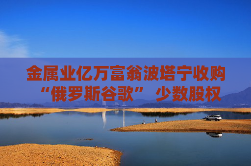 金属业亿万富翁波塔宁收购 “俄罗斯谷歌” 少数股权