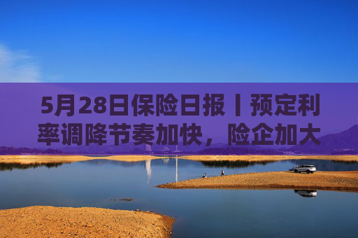 5月28日保险日报丨预定利率调降节奏加快，险企加大浮动收益型产品供给，上海消保委揭互联网保险四大问题