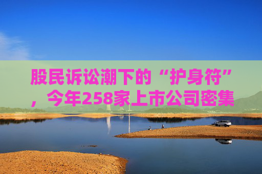 股民诉讼潮下的“护身符”，今年258家上市公司密集投保董责险