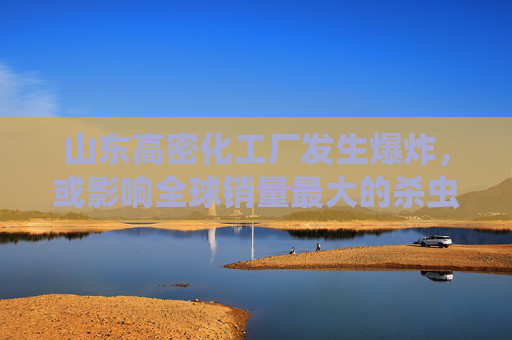 山东高密化工厂发生爆炸，或影响全球销量最大的杀虫剂供应