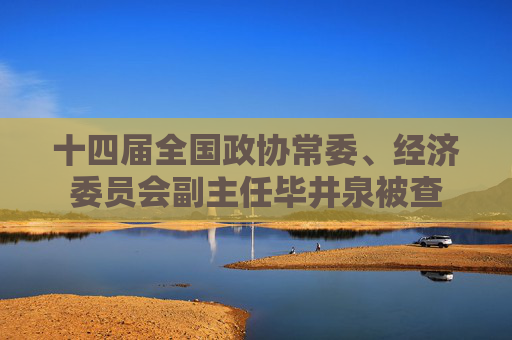 十四届全国政协常委、经济委员会副主任毕井泉被查