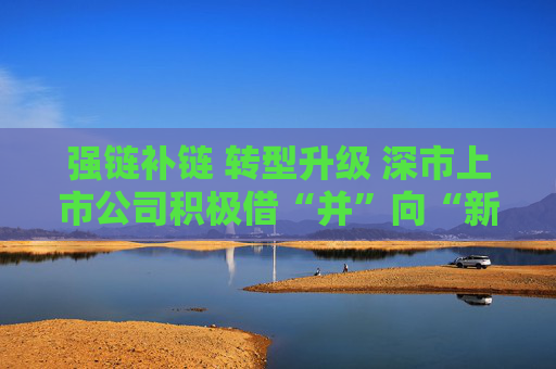 强链补链 转型升级 深市上市公司积极借“并”向“新”