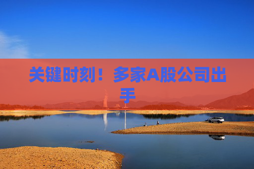 关键时刻！多家A股公司出手