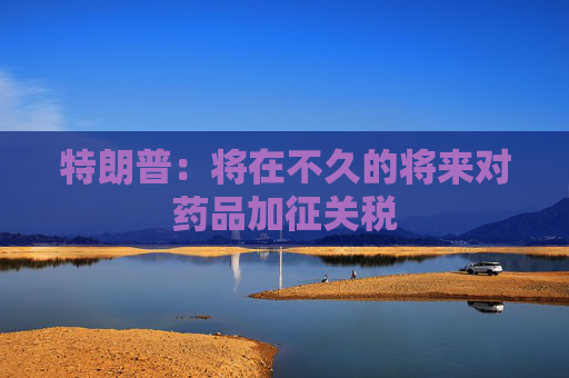特朗普：将在不久的将来对药品加征关税